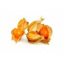 Physalis 100g 