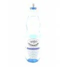 Steinsiecker natürliches Mineralwasser 1 l Flasche 