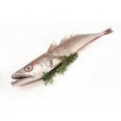 Seehecht P.p. Stück ca. 300g