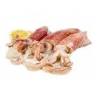 Sepia klein P.p. Stück ca. 100g