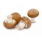 Champignons braun 400g