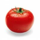 Strauch Tomate Stück